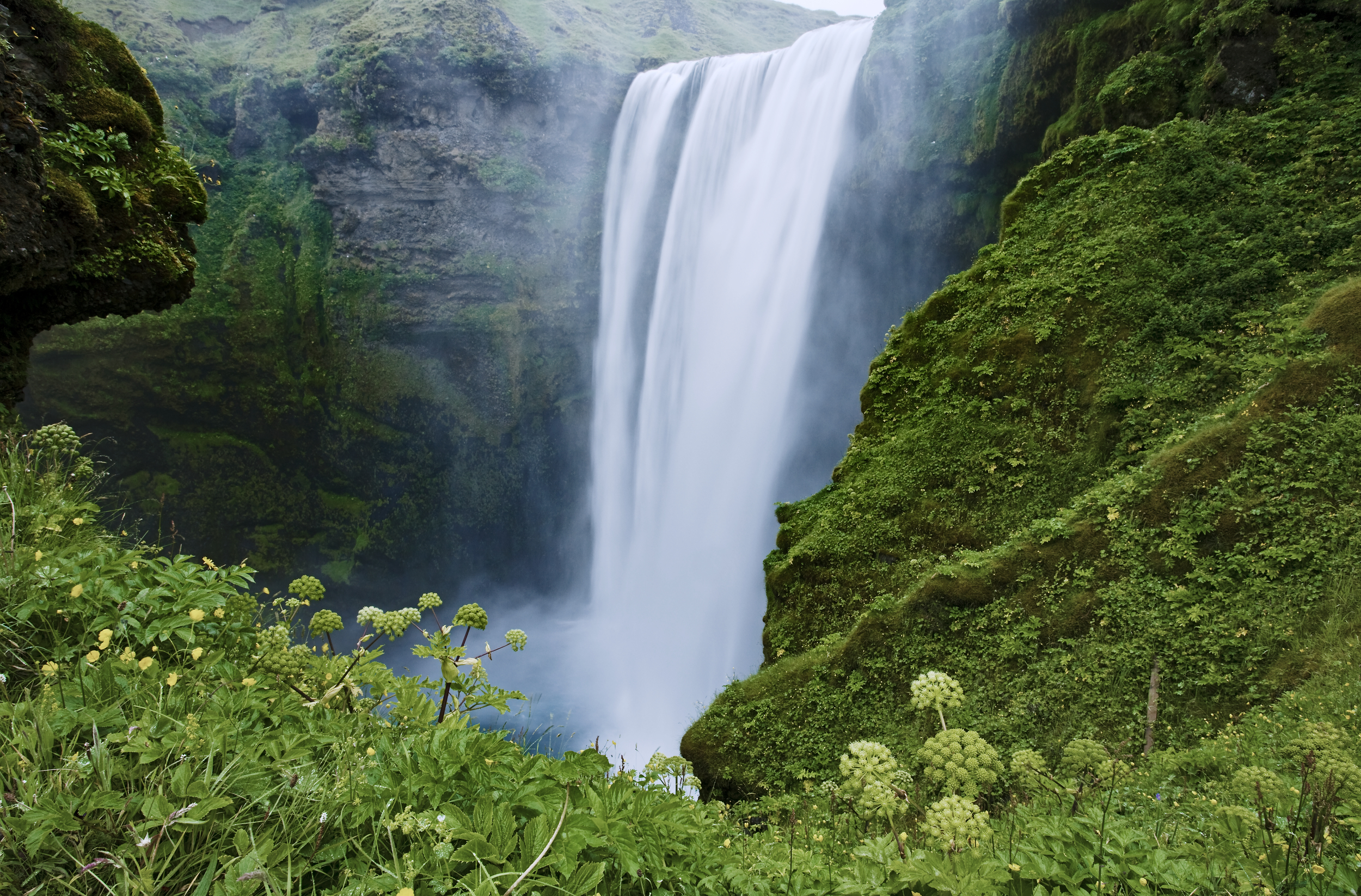 Utsikt fra toppen av et lite fjell med et stort tre til venstre, ser ned på en tåkete skog med en svingete vei som går gjennom